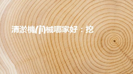 清淤機(jī)械哪家好：挖掘以后都市底潛力！